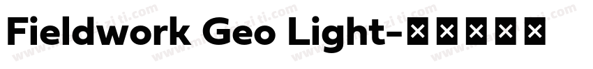 Fieldwork Geo Light字体转换